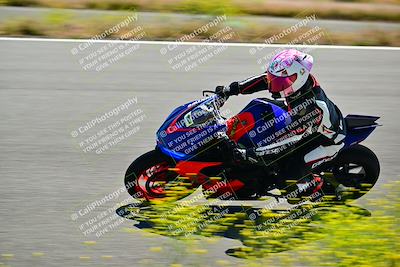 media/May-10-2024-2WTD (Fri) [[c88d7990af]]/Group B/Session 2-The Bowl/